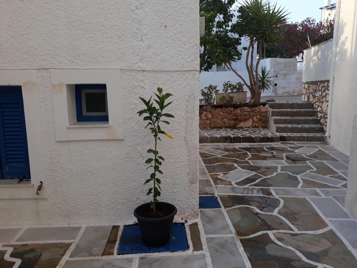 Holidays In Paros Алікі Екстер'єр фото